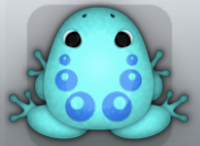 Aqua Caelus Bulla Frog from Pocket Frogs