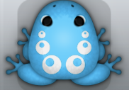 Azure Albeo Bulla Frog from Pocket Frogs