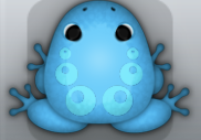 Azure Callaina Bulla Frog from Pocket Frogs