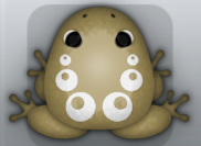 Beige Albeo Bulla Frog from Pocket Frogs