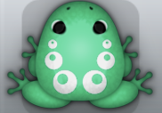 Marine Albeo Bulla Frog from Pocket Frogs