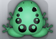 Marine Picea Bulla Frog from Pocket Frogs