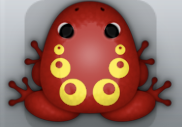 Maroon Aurum Bulla Frog from Pocket Frogs