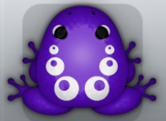 Purple Albeo Bulla Frog from Pocket Frogs