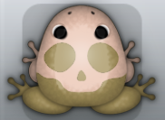 Beige Ceres Calvaria Frog from Pocket Frogs