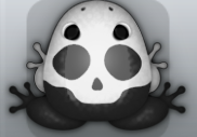 Black Albeo Calvaria Frog from Pocket Frogs