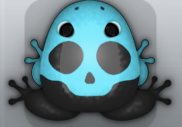 Black Callaina Calvaria Frog from Pocket Frogs