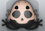 Black Ceres Calvaria Frog from Pocket Frogs