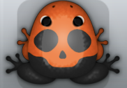 Black Chroma Calvaria Frog from Pocket Frogs