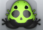 Black Folium Calvaria Frog from Pocket Frogs