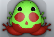 Maroon Muscus Calvaria Frog from Pocket Frogs