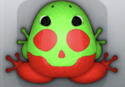 Red Muscus Calvaria Frog from Pocket Frogs