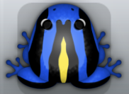 Blue Aurum Calyx Frog from Pocket Frogs