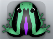 Marine Viola Calyx Frog from Pocket Frogs