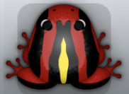 Maroon Aurum Calyx Frog from Pocket Frogs