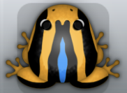 Orange Caelus Calyx Frog from Pocket Frogs