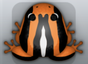 Tangelo Albeo Calyx Frog from Pocket Frogs
