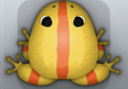 Golden Carota Cesti Frog from Pocket Frogs