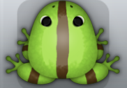 Green Bruna Cesti Frog from Pocket Frogs