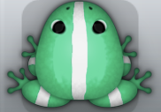 Marine Albeo Cesti Frog from Pocket Frogs