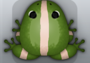 Olive Ceres Cesti Frog from Pocket Frogs