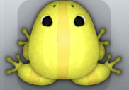 Yellow Aurum Cesti Frog from Pocket Frogs
