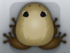 Beige Bruna Clunicula Frog from Pocket Frogs