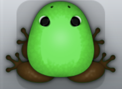 Emerald Bruna Clunicula Frog from Pocket Frogs