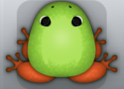 Green Carota Clunicula Frog from Pocket Frogs