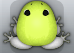Lime Albeo Clunicula Frog from Pocket Frogs