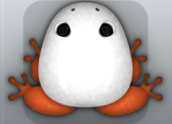 White Carota Clunicula Frog from Pocket Frogs