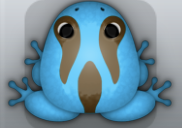 Azure Bruna Cornus Frog from Pocket Frogs