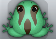 Marine Cafea Cornus Frog from Pocket Frogs