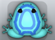 Aqua Caelus Corona Frog from Pocket Frogs