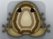 Beige Bruna Corona Frog from Pocket Frogs