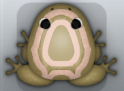 Beige Ceres Corona Frog from Pocket Frogs
