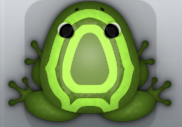 Olive Folium Corona Frog from Pocket Frogs