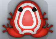 Red Albeo Corona Frog from Pocket Frogs