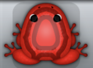 Red Tingo Corona Frog from Pocket Frogs