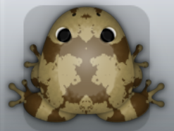 Beige Bruna Crustalli Frog from Pocket Frogs