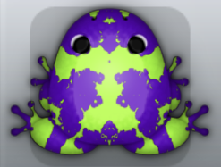 Purple Folium Crustalli Frog from Pocket Frogs
