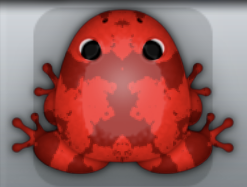 Red Tingo Crustalli Frog from Pocket Frogs