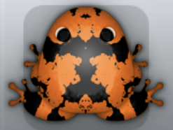 Tangelo Picea Crustalli Frog from Pocket Frogs
