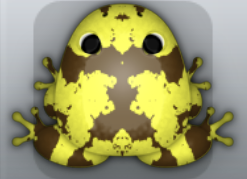 Yellow Bruna Crustalli Frog from Pocket Frogs