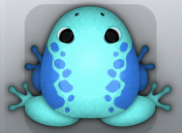 Aqua Caelus Dextera Frog from Pocket Frogs