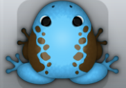 Azure Bruna Dextera Frog from Pocket Frogs