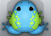 Azure Folium Dextera Frog from Pocket Frogs