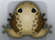 Beige Bruna Dextera Frog from Pocket Frogs