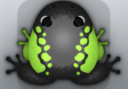 Black Folium Dextera Frog from Pocket Frogs