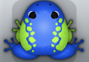 Blue Folium Dextera Frog from Pocket Frogs